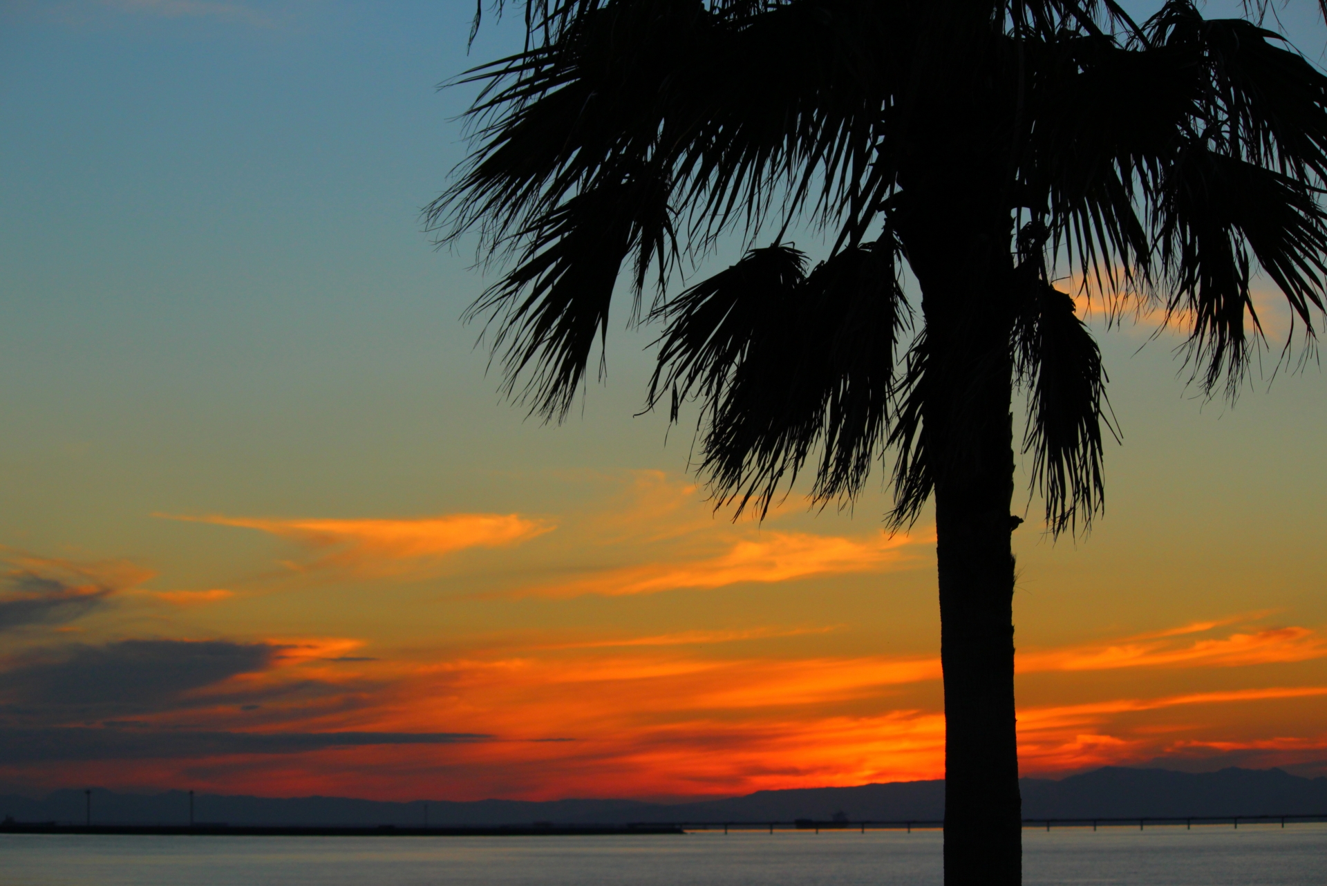 株式会社OHANA 国分寺 吉祥寺