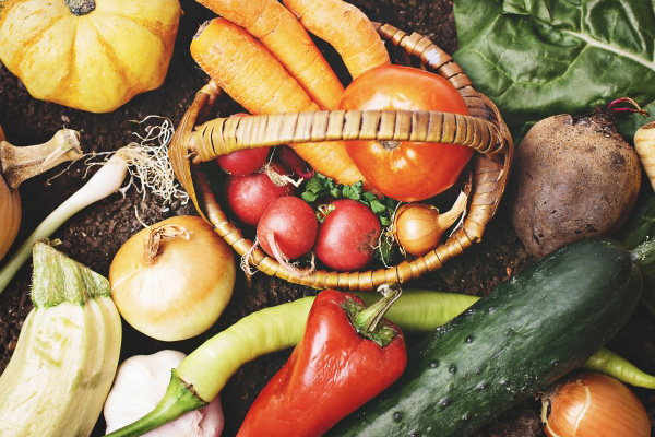 株式会社OHANA 飲食店 カフェ ペットサロン 国分寺 吉祥寺